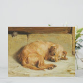 Carte Cocker regardant Spaniel Dog (Debout devant)