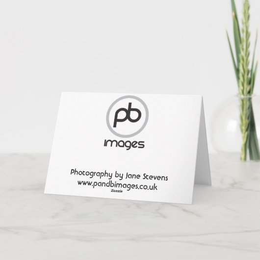 Carte Cocker Spaniel (Dos)