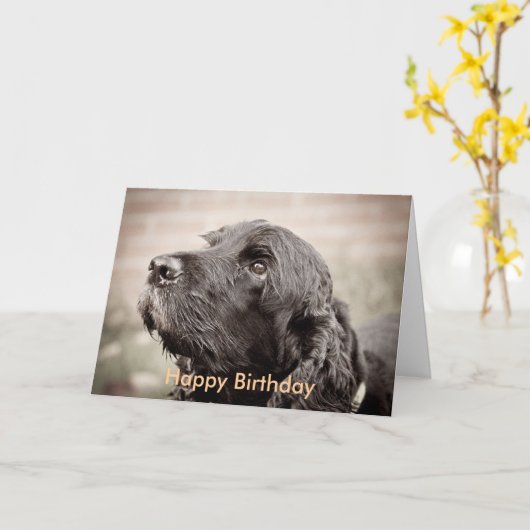 Carte Cocker Spaniel (Fleur jaune)