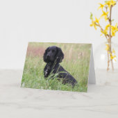 Carte Cocker spaniel (Fleur jaune)