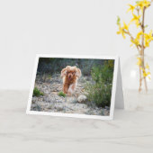 Carte Cocker Spaniel Anglais courant à la campagne (Fleur jaune)