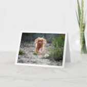 Carte Cocker Spaniel Anglais courant à la campagne (Devant)