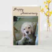 CARTE COCKER SPANIEL AVEC BIERRE - JOYEUX ANNIVERSAIRE (Fleur jaune)