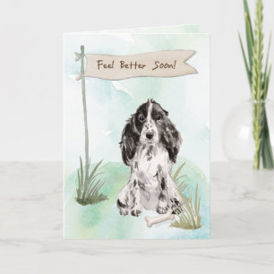 Carte Cocker Spaniel se sent mieux après la chirurgie po