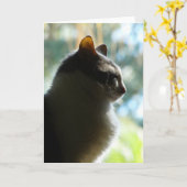 Carte "Coco dans la fenêtre."Carte de voeux (Fleur jaune)