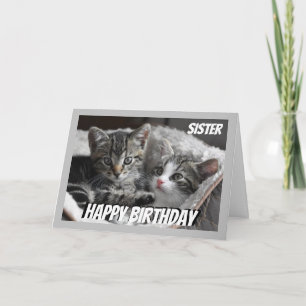 Carte Coeur amusant pour coeur soeur Anniversaire Chat A