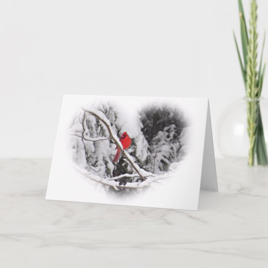 Carte Coeur cardinal de neige (Devant)