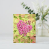 Carte Cœur de fleur naturel - percé par une flèche. (Debout devant)