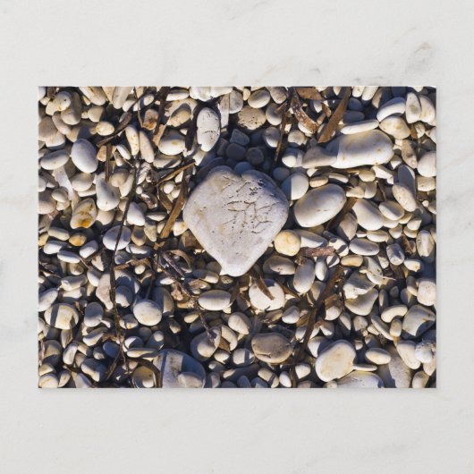 Carte Coeur Nature (Devant)