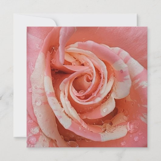 Carte Coeur rose avec gouttes (Devant)
