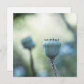 Carte Coeurs orientaux de pavot dans un jardin ombragé (Devant / Derrière)