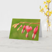 Carte Coeurs saignants Cancer/aide aux maladies graves (Fleur jaune)