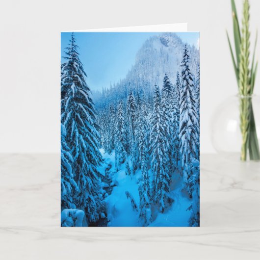 Carte Col de Snoqualmie, État de Washington. (Devant)