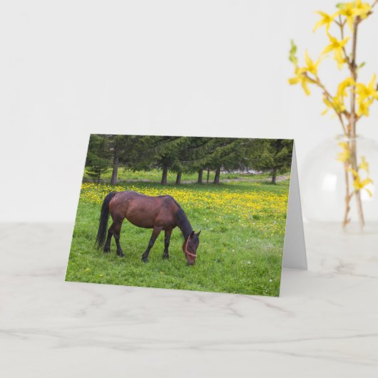 Carte Col Tihuta, Cheval dans le Pasture (Fleur jaune)