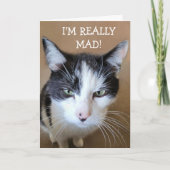 Carte Colère contre le chat cancéreux (Devant)