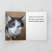 Carte Colère contre le chat cancéreux (Intérieur)