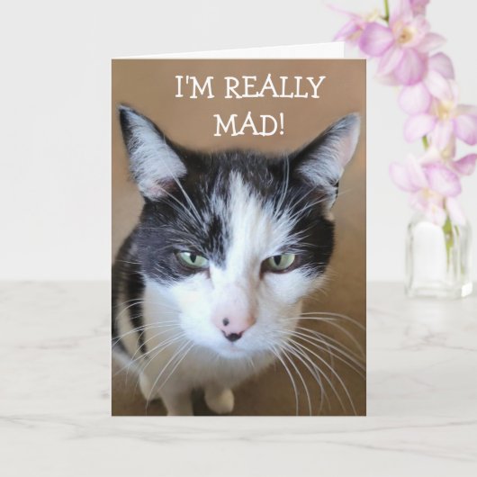 Carte Colère contre le chat cancéreux (Orchidée)