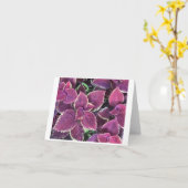 Carte Coleus (Fleur jaune)