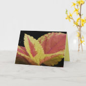Carte Coleus Feuilles (Fleur jaune)