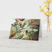 Carte Colibri (Fleur jaune)