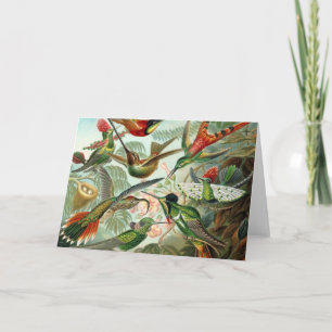 Carte Colibri