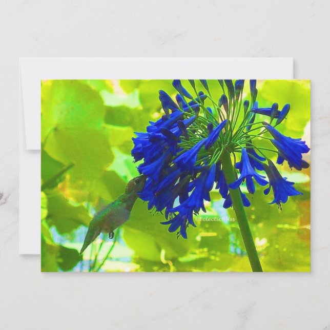 Carte Colibri (Devant)