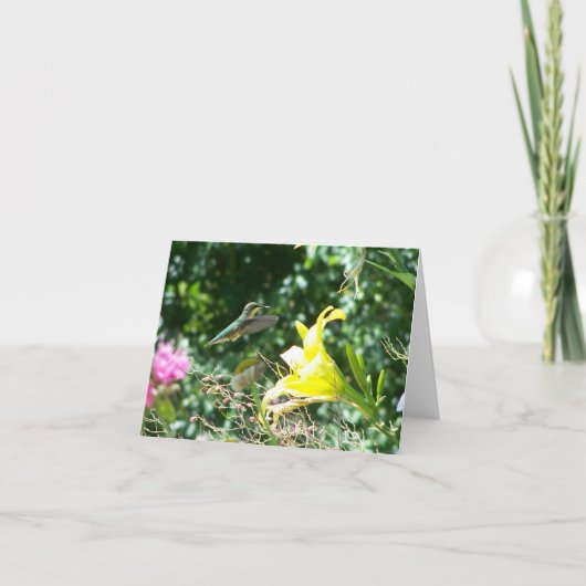 Carte Colibri 5 (Devant)