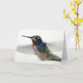 Carte Colibri à gorge rouge (Fleur jaune)