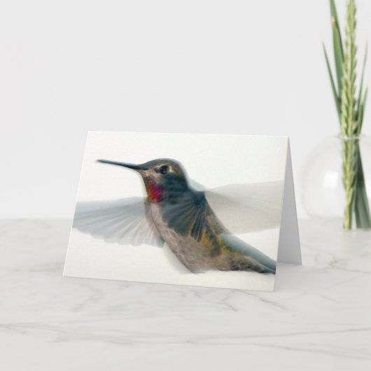 Carte Colibri à gorge rouge (Devant)