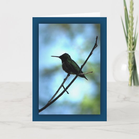 Carte Colibri en silhouette (Devant)