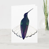 Carte Colibri Jacobin noir (Devant)