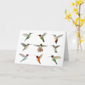 Carte Colibri nord-américain (Fleur jaune)