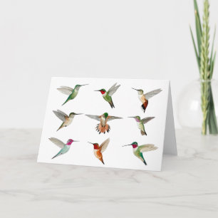 Carte Colibri nord-américain