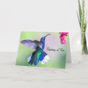 Carte Colibri Pourpre Pensant à Vous