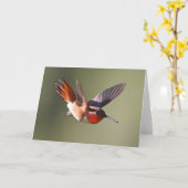 Carte Colibri roux en vol (Fleur jaune)