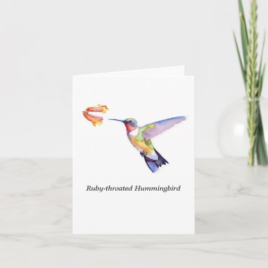 Carte colibri Rubis-throated (Devant)