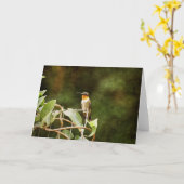 Carte Colibri Ruby Throsé (Fleur jaune)