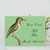 Carte Colibri sur la branche Thunder_Cove (Debout devant)
