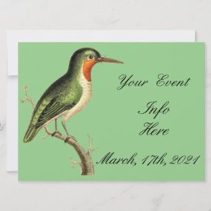 Carte Colibri sur la branche Thunder_Cove