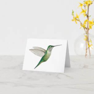 Carte Colibri vert