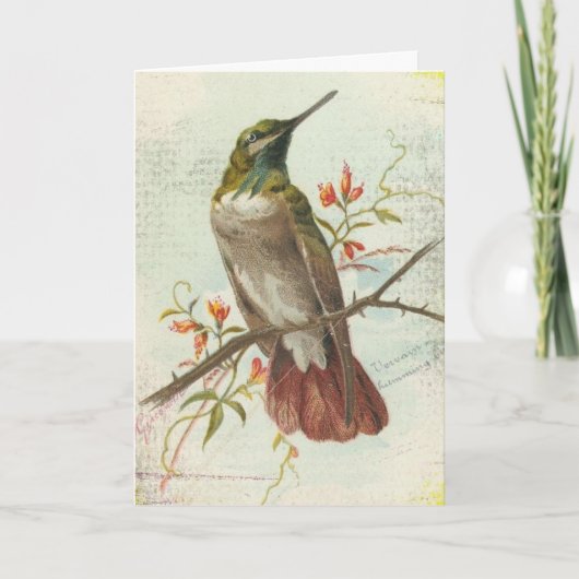Carte Colibri vintage, Anniversaire (Devant)