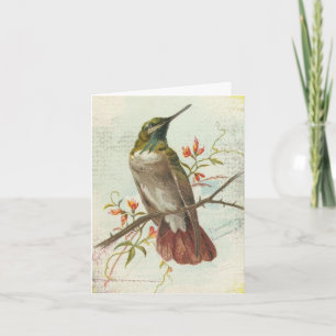 Carte Colibri Vintage, Anniversaire