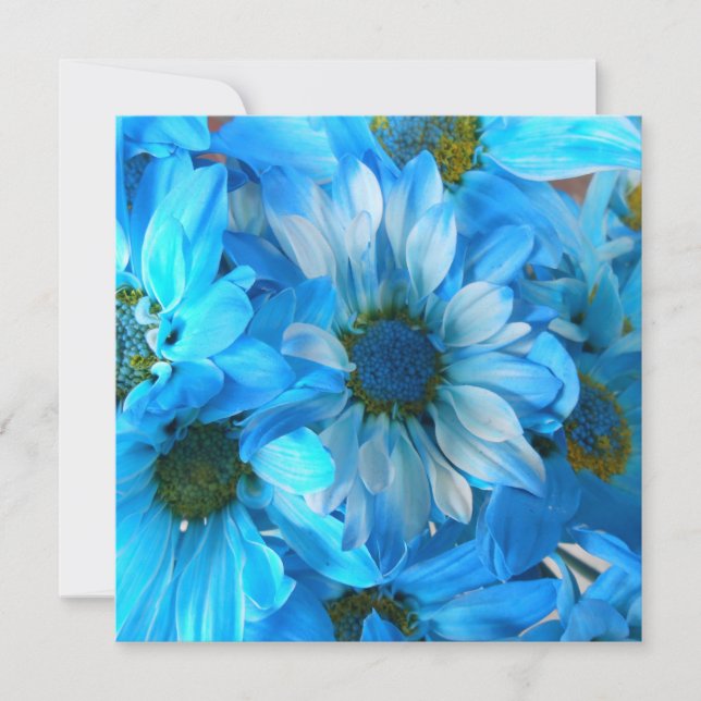 Carte Collaert (Devant)