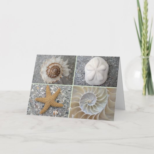 Carte Collage de coquillage (Devant)