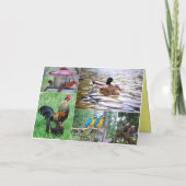 Carte Collage de couples d'oiseaux Joyeux Anniversaire d (Dos)