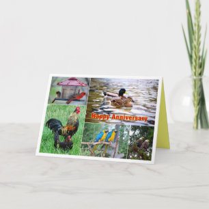 Carte Collage de couples d'oiseaux Joyeux Anniversaire d