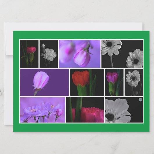 Carte Collage de photos élégantes et mignonnes sur Kelly (Devant)