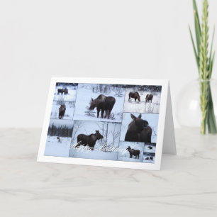 Carte Collage d'orignaux ; Joyeux anniversaire