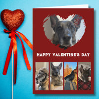 Collage photo de chien mignon, simple Saint Valent