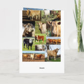Carte Collage photo de vache, Anniversaire (Dos)